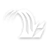 Moment of Blazing Shadow icon
