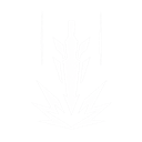 Dive Attack icon