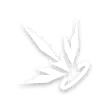 Piercing Arrows of the Woods icon